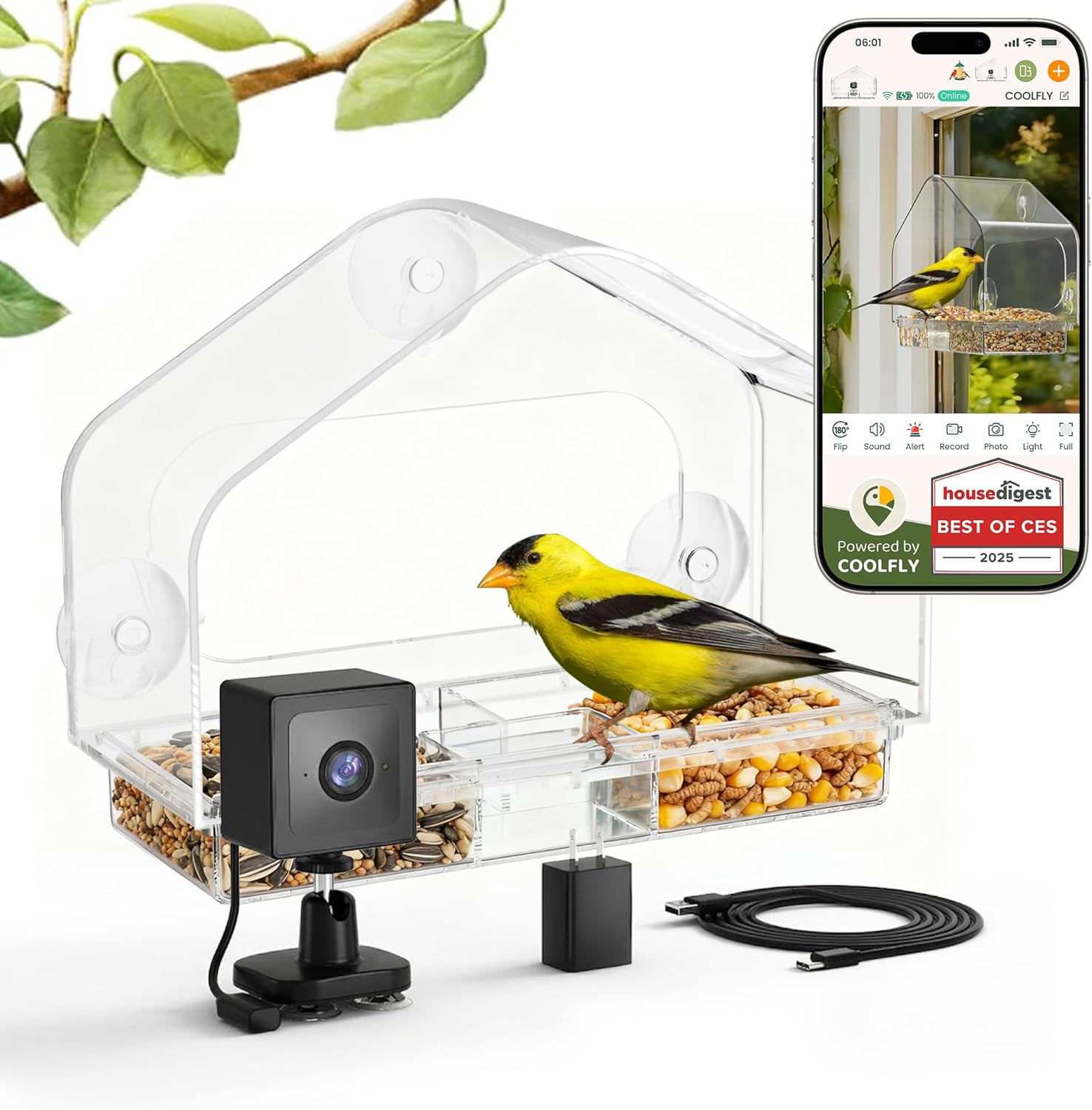 RichBird2KUSBWindowBirdFeeder — verified coupon, Prime delivery